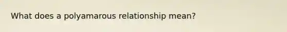 What does a polyamarous relationship mean?