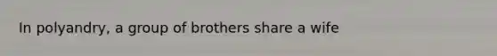In polyandry, a group of brothers share a wife