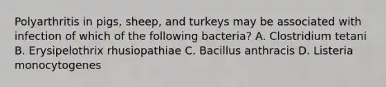 Polyarthritis in pigs, sheep, and turkeys may be associated with infection of which of the following bacteria? A. Clostridium tetani B. Erysipelothrix rhusiopathiae C. Bacillus anthracis D. Listeria monocytogenes