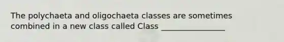 The polychaeta and oligochaeta classes are sometimes combined in a new class called Class ________________