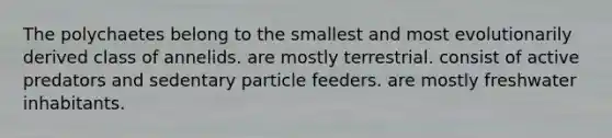 The polychaetes belong to the smallest and most evolutionarily derived class of annelids. are mostly terrestrial. consist of active predators and sedentary particle feeders. are mostly freshwater inhabitants.