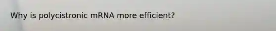 Why is polycistronic mRNA more efficient?