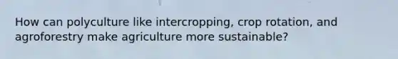 How can polyculture like intercropping, crop rotation, and agroforestry make agriculture more sustainable?