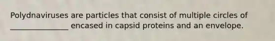 Polydnaviruses are particles that consist of multiple circles of _______________ encased in capsid proteins and an envelope.