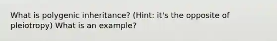 What is polygenic inheritance? (Hint: it's the opposite of pleiotropy) What is an example?