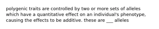 polygenic traits are controlled by two or more sets of alleles which have a quantitative effect on an individual's phenotype, causing the effects to be additive. these are ___ alleles