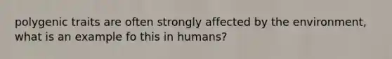 polygenic traits are often strongly affected by the environment, what is an example fo this in humans?