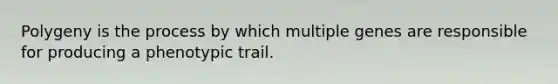 Polygeny is the process by which multiple genes are responsible for producing a phenotypic trail.