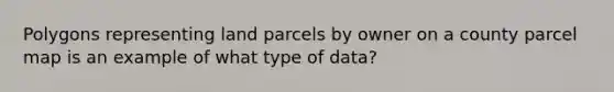 Polygons representing land parcels by owner on a county parcel map is an example of what type of data?