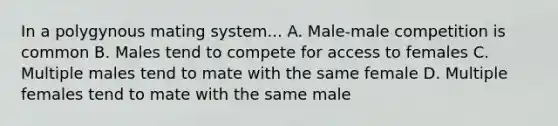 In a polygynous mating system... A. Male-male competition is common B. Males tend to compete for access to females C. Multiple males tend to mate with the same female D. Multiple females tend to mate with the same male