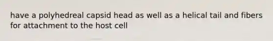 have a polyhedreal capsid head as well as a helical tail and fibers for attachment to the host cell