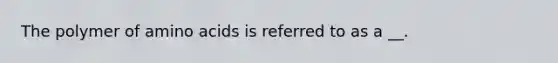 The polymer of amino acids is referred to as a __.