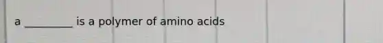 a _________ is a polymer of amino acids