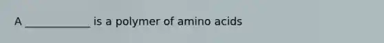 A ____________ is a polymer of amino acids