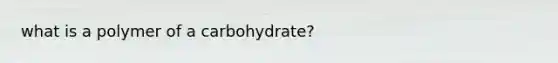 what is a polymer of a carbohydrate?