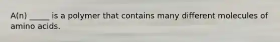 A(n) _____ is a polymer that contains many different molecules of amino acids.