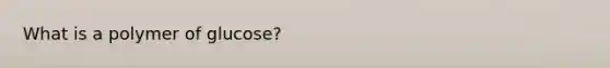 What is a polymer of glucose?