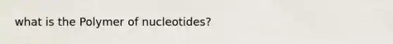 what is the Polymer of nucleotides?