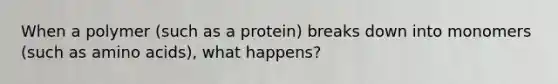 When a polymer (such as a protein) breaks down into monomers (such as amino acids), what happens?