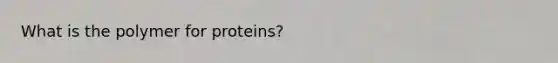 What is the polymer for proteins?