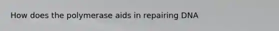 How does the polymerase aids in repairing DNA