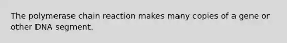 The polymerase chain reaction makes many copies of a gene or other DNA segment.