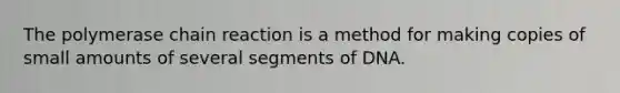 The polymerase chain reaction is a method for making copies of small amounts of several segments of DNA.