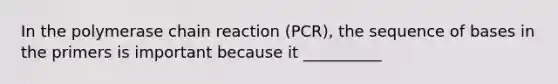 In the polymerase chain reaction (PCR), the sequence of bases in the primers is important because it __________