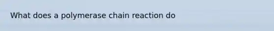 What does a polymerase chain reaction do