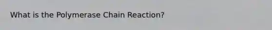 What is the Polymerase Chain Reaction?