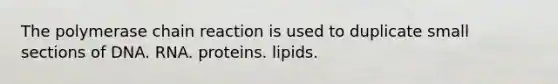 The polymerase chain reaction is used to duplicate small sections of DNA. RNA. proteins. lipids.