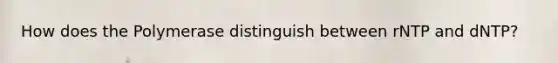 How does the Polymerase distinguish between rNTP and dNTP?