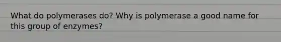 What do polymerases do? Why is polymerase a good name for this group of enzymes?