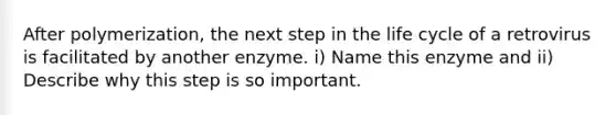 After polymerization, the next step in the life cycle of a retrovirus is facilitated by another enzyme. i) Name this enzyme and ii) Describe why this step is so important.