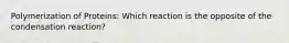 Polymerization of Proteins: Which reaction is the opposite of the condensation reaction?