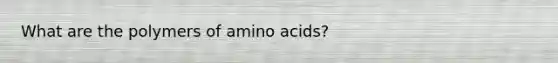 What are the polymers of amino acids?