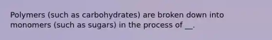 Polymers (such as carbohydrates) are broken down into monomers (such as sugars) in the process of __.