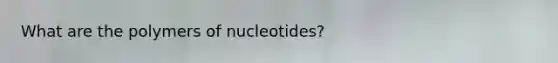 What are the polymers of nucleotides?