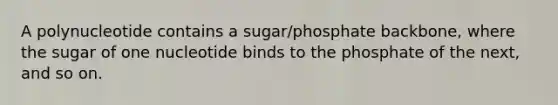 A polynucleotide contains a sugar/phosphate backbone, where the sugar of one nucleotide binds to the phosphate of the next, and so on.