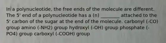 In a polynucleotide, the free ends of the molecule are different. The 5' end of a polynucleotide has a (n) ________ attached to the 5' carbon of the sugar at the end of the molecule. carbonyl (-CO) group amino (-NH2) group hydroxyl (-OH) group phosphate (-PO4) group carboxyl (-COOH) group