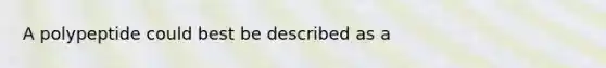 A polypeptide could best be described as a