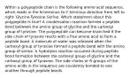 Within a polypeptide chain is the following amino acid sequence, which reads in the N terminus to C terminus direction from left to right: Glycine-Tyrosine-Serine. Which statement about this polypeptide is true? A condensation reaction formed a peptide bond between the amino group of glycine and the carboxyl group of tyrosine. The polypeptide can become branched if the side chain of tyrosine reacts with a free amino acid to form a peptide bond. A molecule of water was released when the carboxyl group of tyrosine formed a peptide bond with the amino group of serine. A hydrolysis reaction occurred during peptide bond formation between the carboxyl group of glycine and the carboxyl group of tyrosine. The side chains or R groups of the amino acids in the sequence are covalently bonded to one another through peptide bonds.