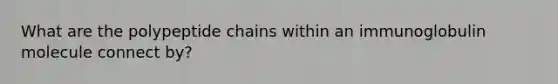 What are the polypeptide chains within an immunoglobulin molecule connect by?