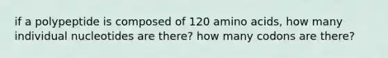 if a polypeptide is composed of 120 amino acids, how many individual nucleotides are there? how many codons are there?