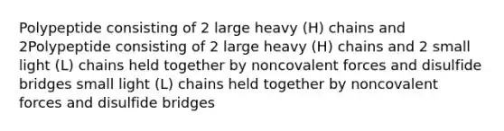 Polypeptide consisting of 2 large heavy (H) chains and 2Polypeptide consisting of 2 large heavy (H) chains and 2 small light (L) chains held together by noncovalent forces and disulfide bridges small light (L) chains held together by noncovalent forces and disulfide bridges