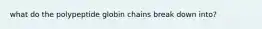 what do the polypeptide globin chains break down into?