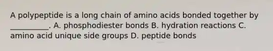 A polypeptide is a long chain of amino acids bonded together by __________. A. phosphodiester bonds B. hydration reactions C. amino acid unique side groups D. peptide bonds