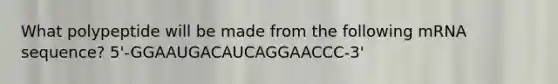 What polypeptide will be made from the following mRNA sequence? 5'-GGAAUGACAUCAGGAACCC-3'