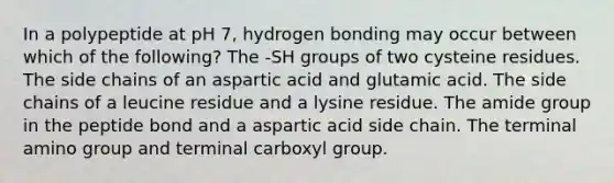 In a polypeptide at pH 7, hydrogen bonding may occur between which of the following? The -SH groups of two cysteine residues. The side chains of an aspartic acid and glutamic acid. The side chains of a leucine residue and a lysine residue. The amide group in the peptide bond and a aspartic acid side chain. The terminal amino group and terminal carboxyl group.