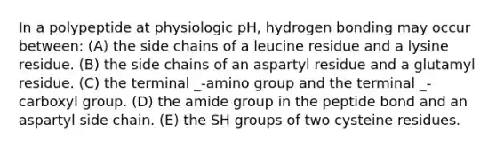 In a polypeptide at physiologic pH, hydrogen bonding may occur between: (A) the side chains of a leucine residue and a lysine residue. (B) the side chains of an aspartyl residue and a glutamyl residue. (C) the terminal _-amino group and the terminal _-carboxyl group. (D) the amide group in the peptide bond and an aspartyl side chain. (E) the SH groups of two cysteine residues.